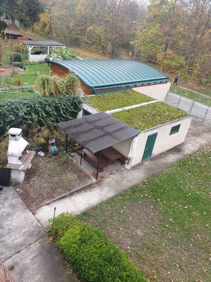 Casa de hóspedes Breathtaking Shared Near Danube River /w Garden And Parking *