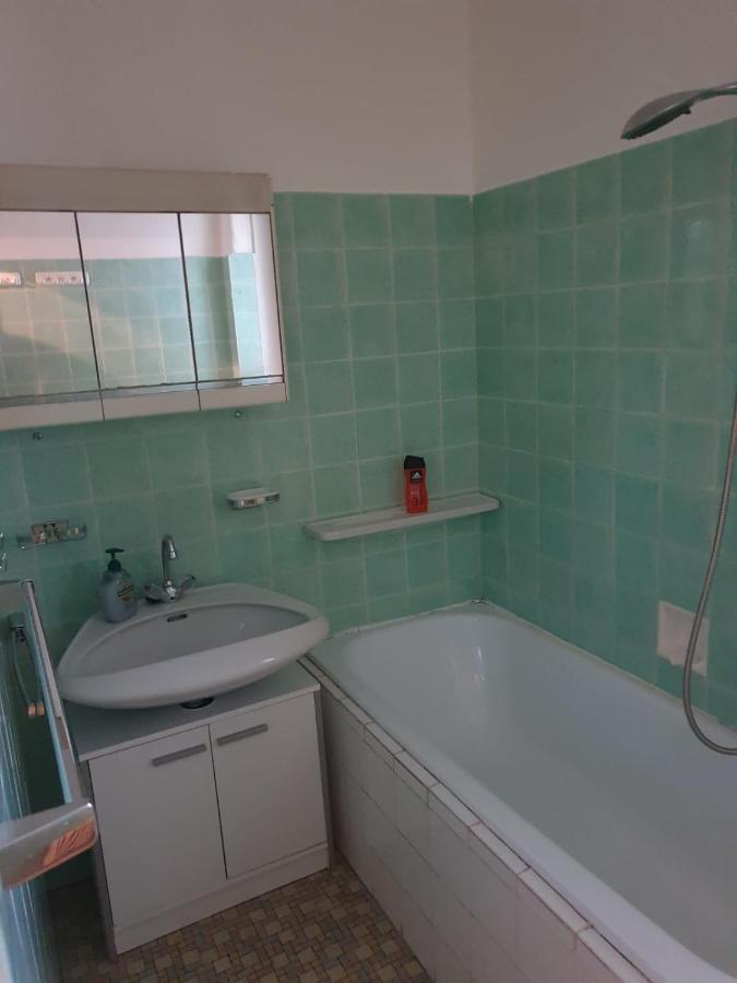 Breathtaking Shared Near Danube River /w Garden And Parking Viena